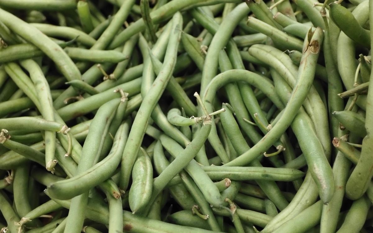 Frozen Foods export by VELFiNE OVERSEAS